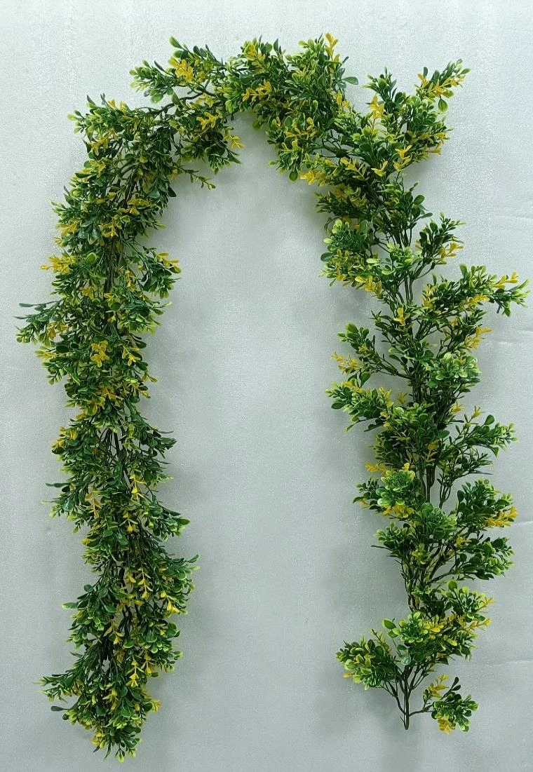 Eucliptus Heavy And Light Creeper 180cm